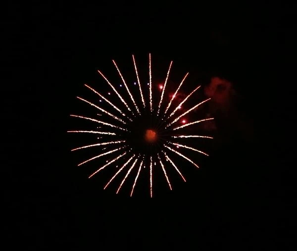 6 Inci Menari Pyrotechnics Bunga Api Tunjukkan Cangkerang Paparan